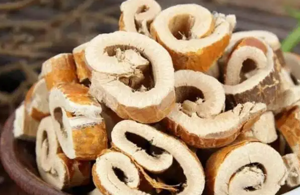 桑白皮泡水喝的禁忌 桑白皮的食用方法