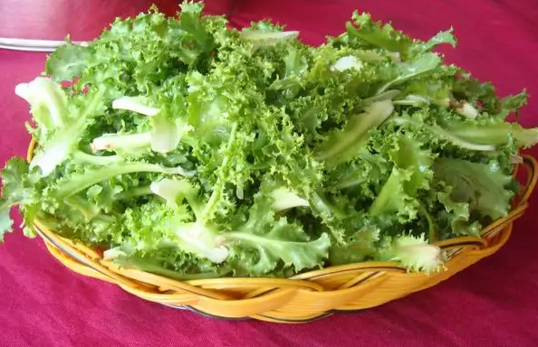 银丝菜的功效与作用 吃银丝菜的好处有哪些