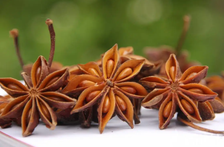 大茴香和小茴香的区别 大茴香的功效