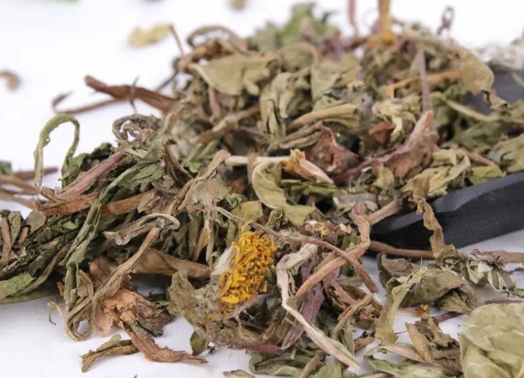 蒲公英洗脚的功效与作用 蒲公英洗脚的好处有哪些