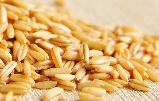 莜麦怎么吃 莜麦的食用方法