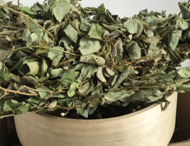 金钱草的功效与作用 金钱草的药用价值