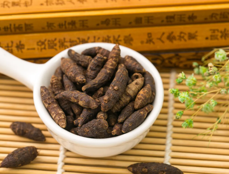 香附有什么功效与作用 香附用量一般多少克