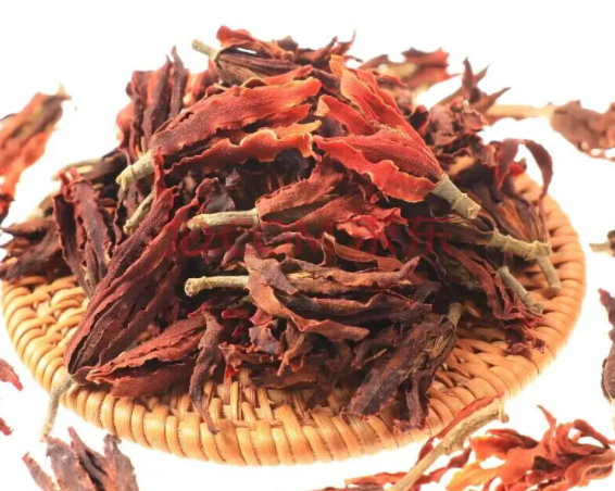 玉兰花的功效与作用 玉兰花泡水喝的功效与作用