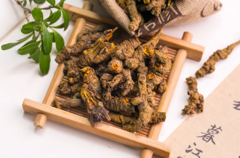黄连的功效与作用及食用方法 黄连泡水可以每天喝吗