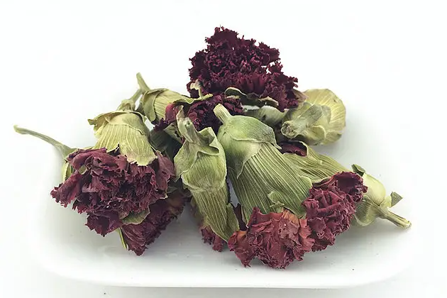 康乃馨的作用与功效 康乃馨泡水喝的禁忌