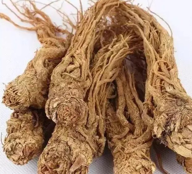 当归的美容功效有哪些 当归炖鸡的功效？