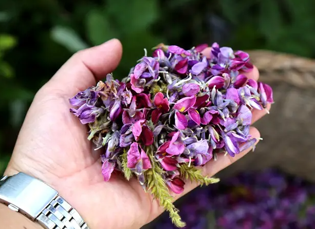葛花茶的作用与功效 葛花茶什么人不能喝