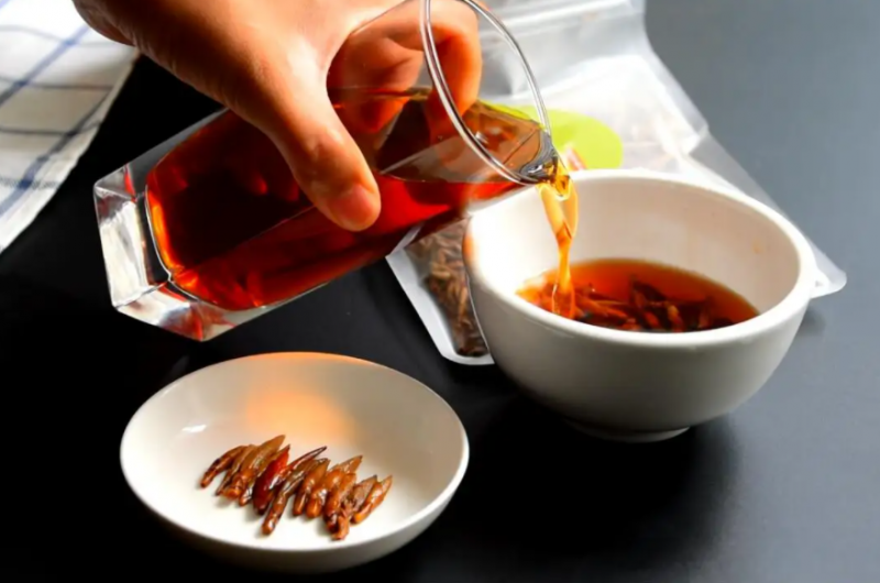 老鹰茶的功效和作用 什么人不能喝老鹰茶