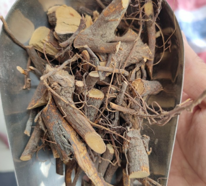 无花果根的功效与作用 无花果根能治疗什么疾病