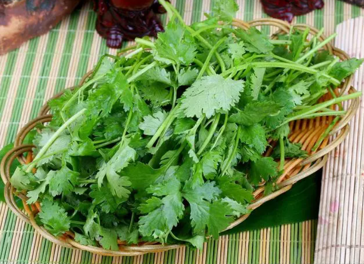 芫荽是什么 芫荽应该怎么吃才好吃