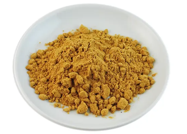 野菊花提取物的功效 野菊花提取物的应用方法
