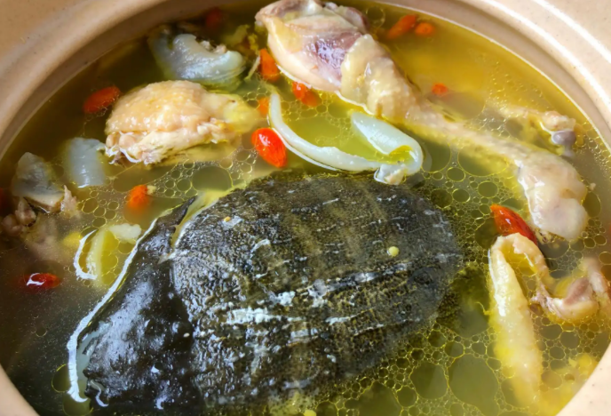 甲鱼炖鸡的功效与作用 孕妇可以吃甲鱼炖鸡吗