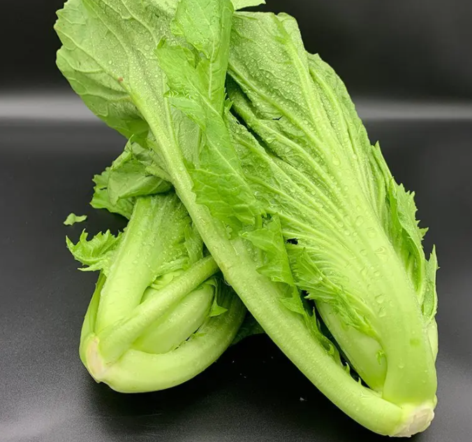 金芥菜的功效作用 金芥菜的四大功效