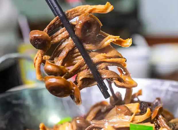 鹿茸菌的功效与作用 鹿茸菌孕妇能吃吗