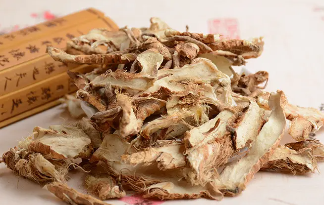 盐知母的功效与作用 知母和盐知母有何功效的区别