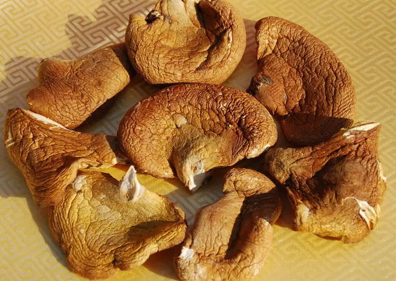 元蘑的功效与作用 元蘑和榛蘑哪个好吃?