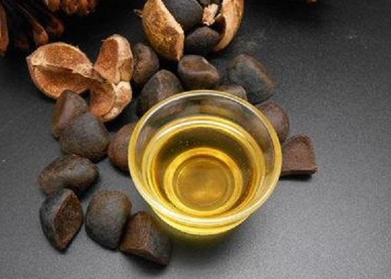 茶籽油的功效与作用 茶籽油美容的神奇功效