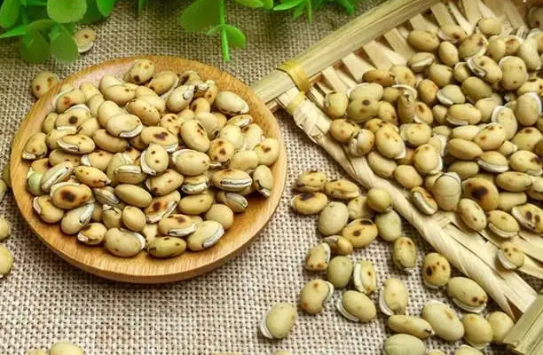 炒白扁豆的功效与作用 中药炒白扁豆一般下多少克比较好