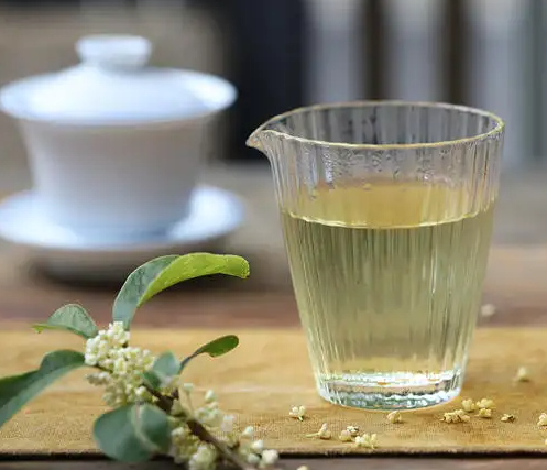 桂花可不可以和绿茶一起喝 桂花绿茶的功效与作用