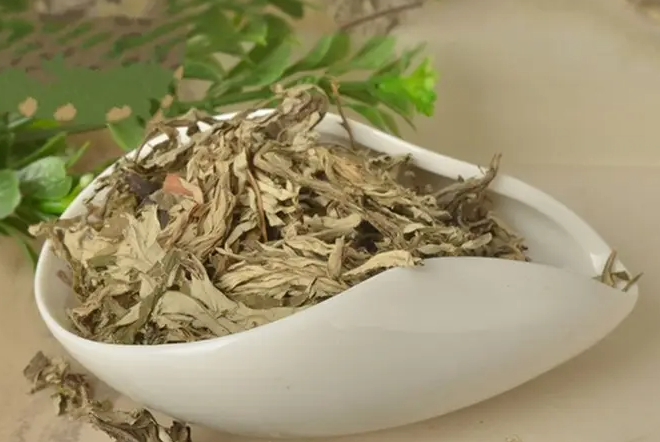 艾叶的作用与功效 使用艾叶的注意事项
