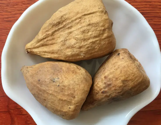 木馒头的功效与作用 木馒头的药用价值