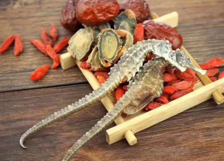 海马的功效与作用 海马煲瘦肉汤有什么功效