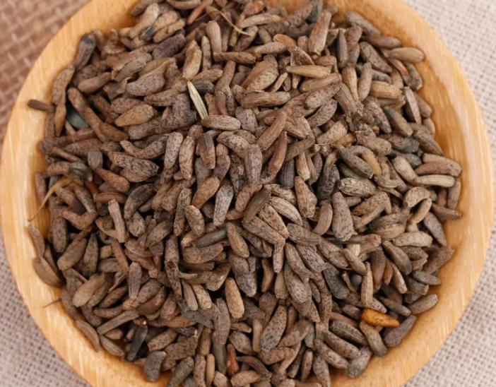 牛蒡子的功效和作用 牛蒡子的食用禁忌