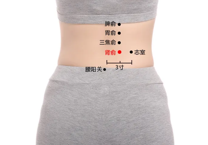 肾俞穴是什么 肾俞穴位置及作用
