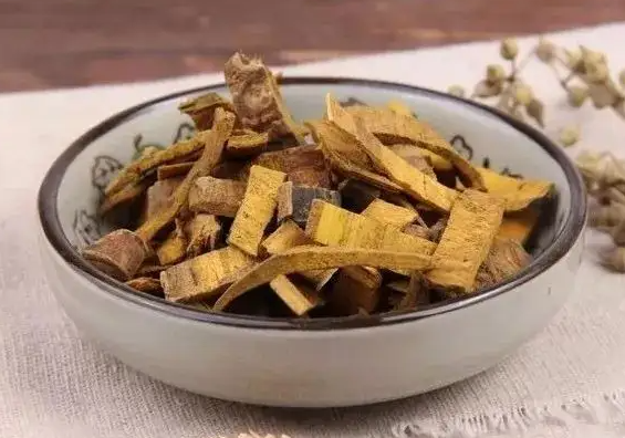 黄柏的功效与作用点？黄柏可以壮阳吗