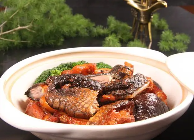 鳄鱼肉的功效 鳄鱼肉的营养价值是什么