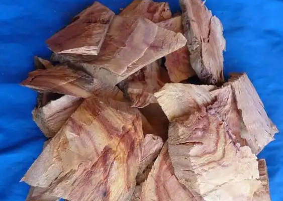 香樟木可以驱虫吗 香樟木的功效与作用是什么