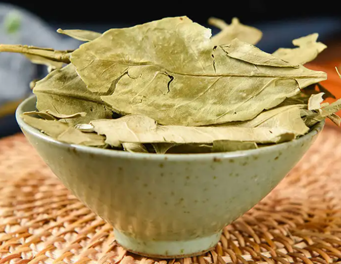 金橘叶的功效与作用 金橘叶的食用方法