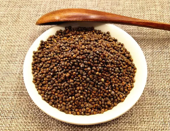 紫苏籽的功效与作用 紫苏籽怎么食用方法