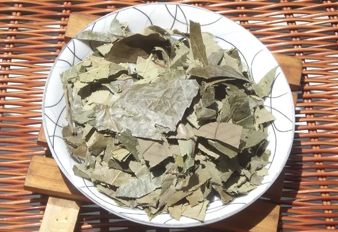 淫羊藿的功效与作用 淫羊藿可以长期服用吗