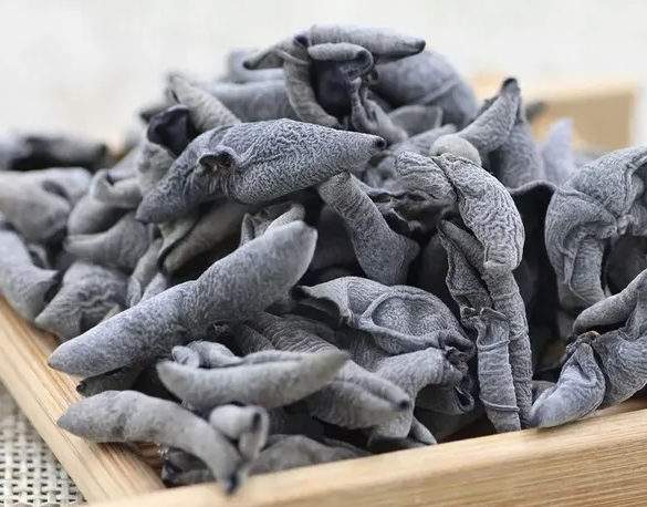 秋木耳的功效是什么 秋木耳和普通木耳有什么区别