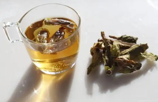 黄蜀葵的营养价值 黄蜀葵的功效与作用