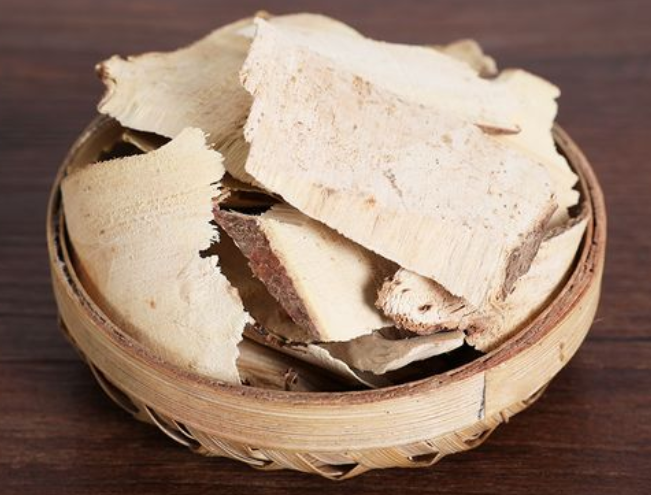 白背叶根的功效与作用 白背叶根怎样治疗肝病