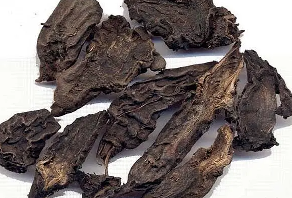 草乌的功效与作用 草乌能长期服用吗