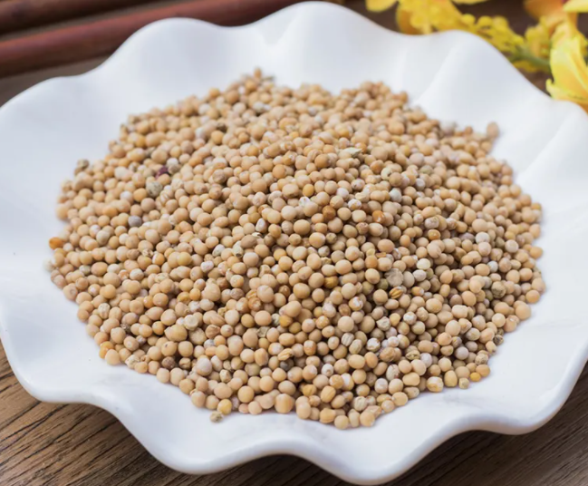 白芥子的功效与作用 白芥子和炒芥子一样吗