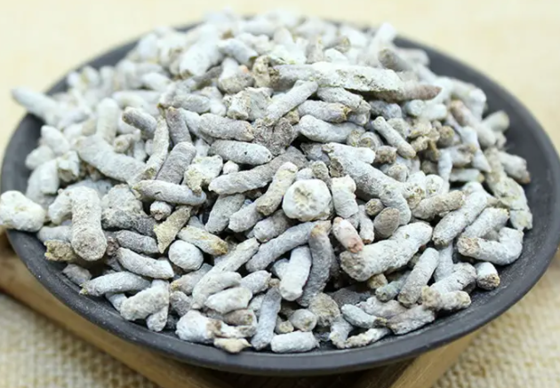 白丁香美容功效 白丁香的功效与作用