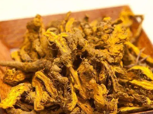 萸黄连的功效与作用 萸黄连和黄连的区别