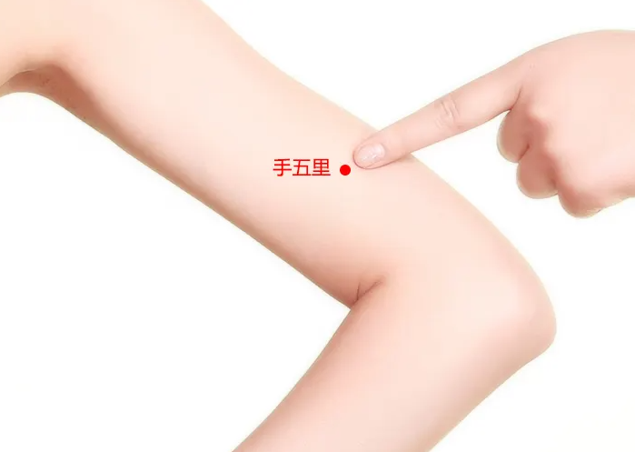 手五里穴位位置图 手五里穴的功效与作用
