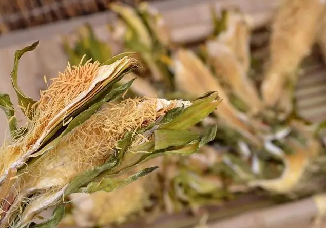 霸王花的功效与作用 霸王花的食用方法