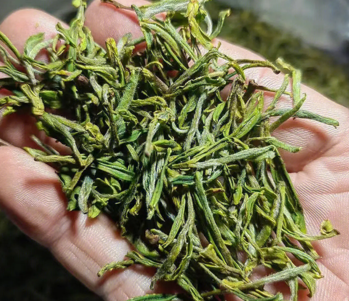 天然野茶的功效与作用 野茶适合什么人群喝