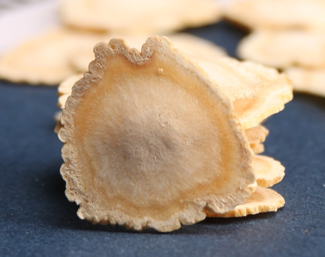白参片的功效与作用 白参片的食用方法