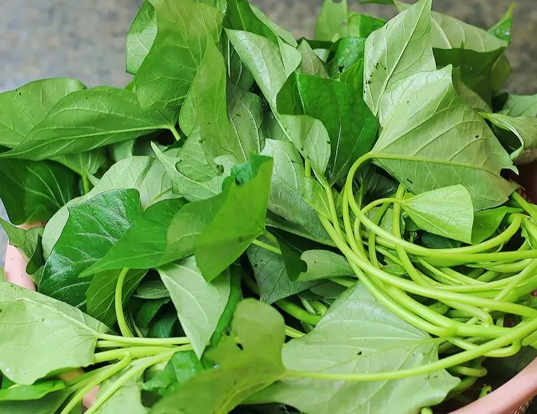 红薯叶的功效与作用 红薯叶的食用方法
