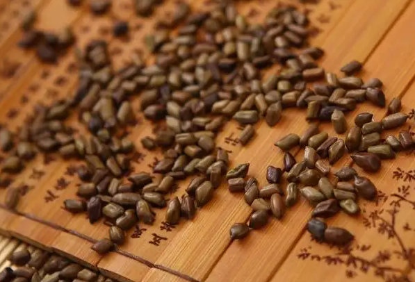 草决明的功效与作用 决明草的药用价值
