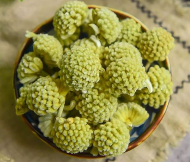 绿萝花有什么功效与作用 绿萝花一次泡几朵合适？
