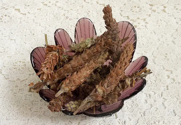 夏枯草外用的功效与作用 夏枯草护肝还是伤肝？